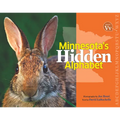 Minnesota's Hidden Alphabet