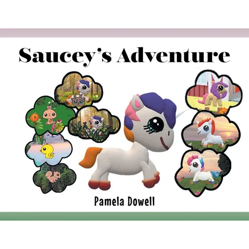 Saucey's Adventure