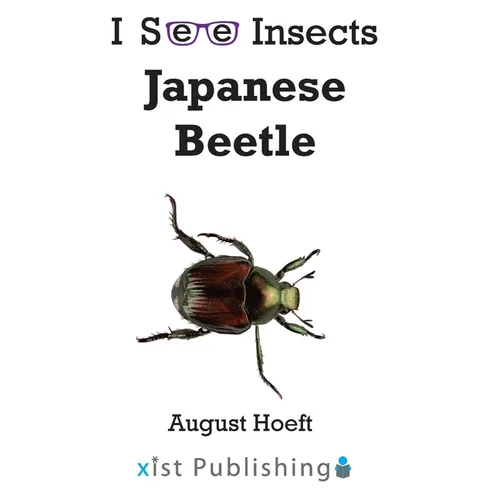 Japanese Beetle