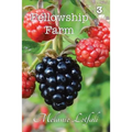 Fellowship Farm 3: Books 7-9