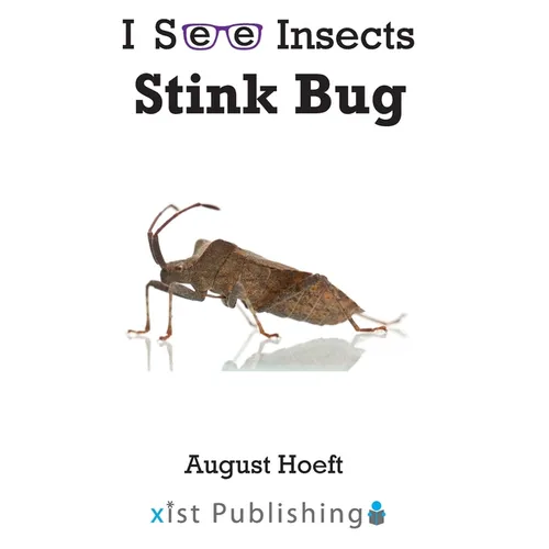 Stink Bug