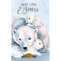 Here Come the Bears