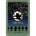 The Owlings: A Worldview Novella