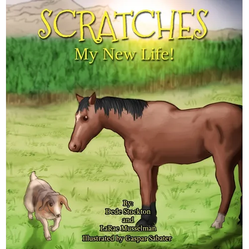 Scratches: My New Life!
