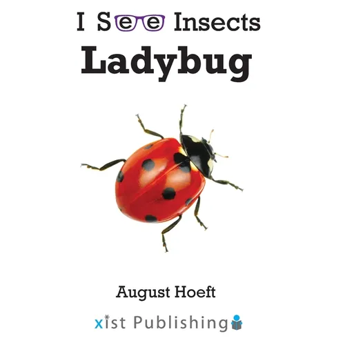 Ladybug