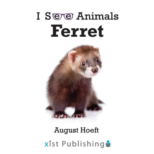 Ferret