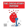 The Circulatory System