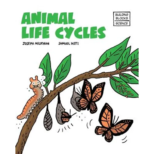 Animal Life Cycles