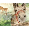 The Christmas Donkey