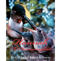 Hannah the Hummingbird