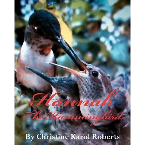 Hannah the Hummingbird