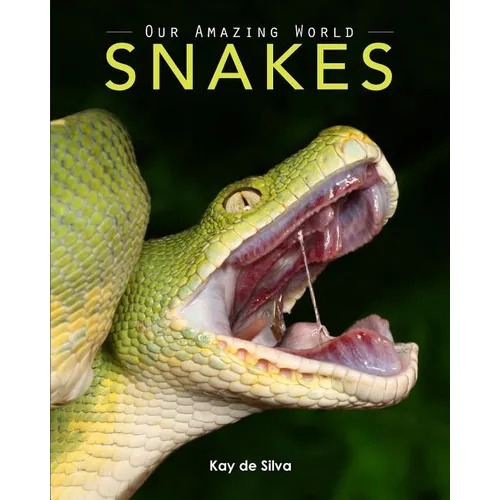 Snakes: Amazing Pictures & Fun Facts on Animals in Nature