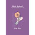 Little Bobtail; or, The Wreck of the Penobscot