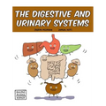 The Digestive and Urinary Systems