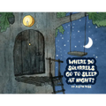 Where Do Squirrels Go to Sleep at Night?