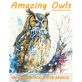 Owl Coloring Book for Adults: Relaxation and Stress Relief For Bird Lovers