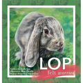 Lop Felt Worried