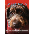Meet Mojo