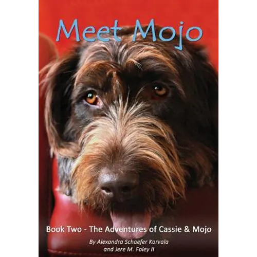 Meet Mojo