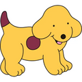 All about Spot