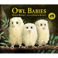 Owl Babies