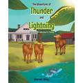 The Adventures of Thunder and Lightning: Thunder and Lightning Go Fishing