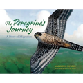 The Peregrine's Journey: A Story of Migration