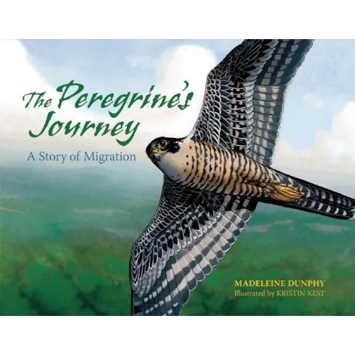 The Peregrine's Journey: A Story of Migration