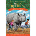 Rhinos at Recess
