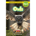 Owls: Animals in the City (Engaging Readers, Level Pre-1)