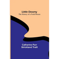 Little Downy: The History of a Field-Mouse