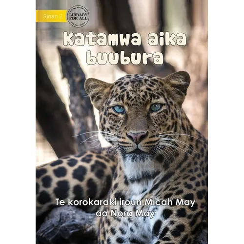 Big Cats - Katamwa aika buubura (Te Kiribati)