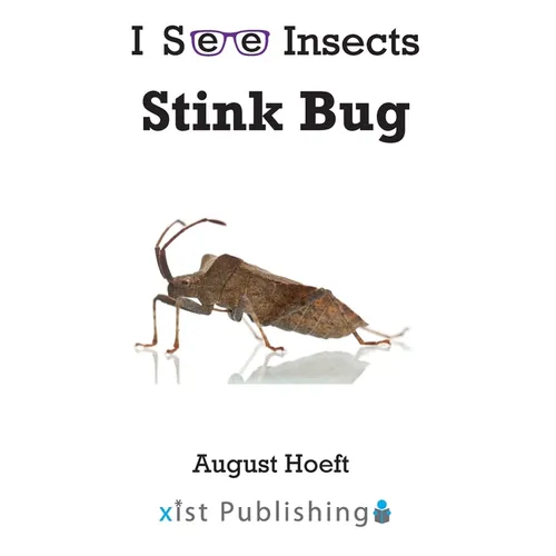 Stink Bug