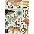 Animalium: Welcome to the Museum