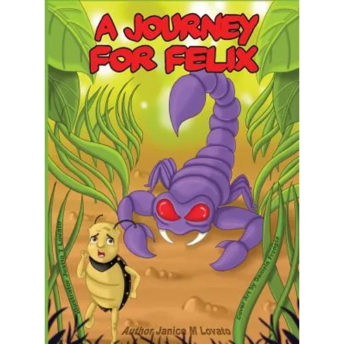 A Journey for Felix