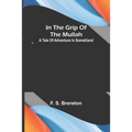 In the grip of the Mullah; A tale of adventure in Somaliland