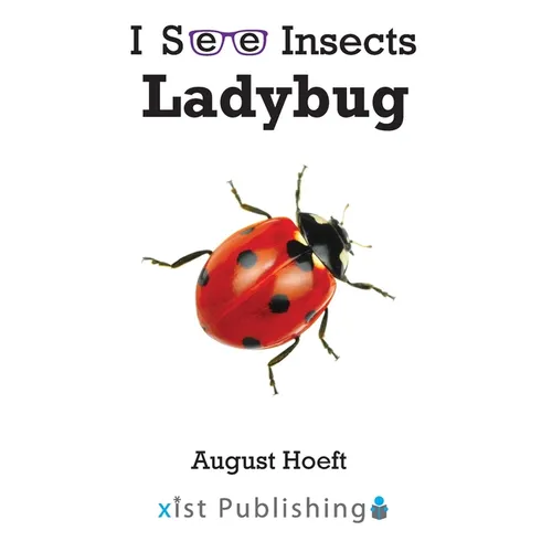 Ladybug