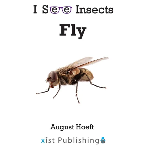 Fly