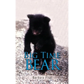 Big Time Bear
