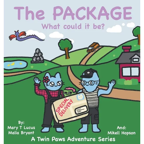 The Package: What could it be?