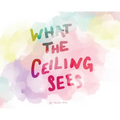 What the Ceiling Sees
