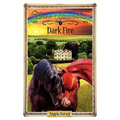 Dark Fire: Sometimes Horses Need a Little Magic