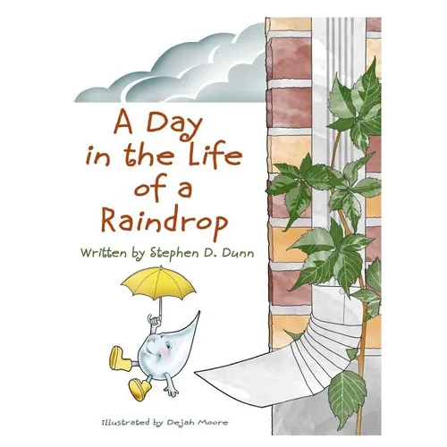 A Day In The Life Of A Raindrop