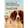 Shadow