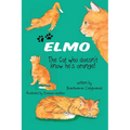 ELMO The Cat who doesn't know he's orange!