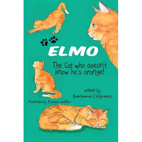 ELMO The Cat who doesn't know he's orange!