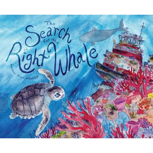 The Search for the Right Whale