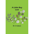 A Little Boy Lost