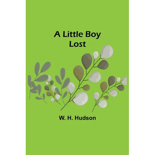 A Little Boy Lost