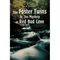The Foster Twins In The Mystery at Red Bud Cove
